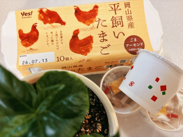 無理なくできる日だけでOK！未来につながる「朝のエシカル習慣」7つ
