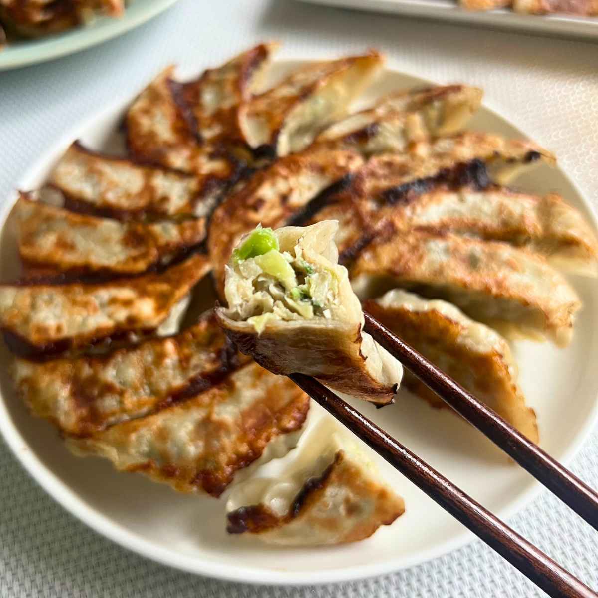 【10/30まで送料無料】3種を食べ比べ!「ほぁんほぁん餃子」90個セット