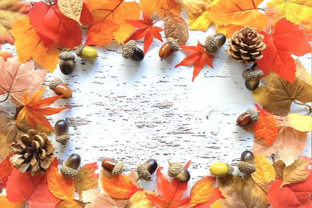 紅葉やどんぐり、松ぼっくりが並ぶ秋のイメージ
