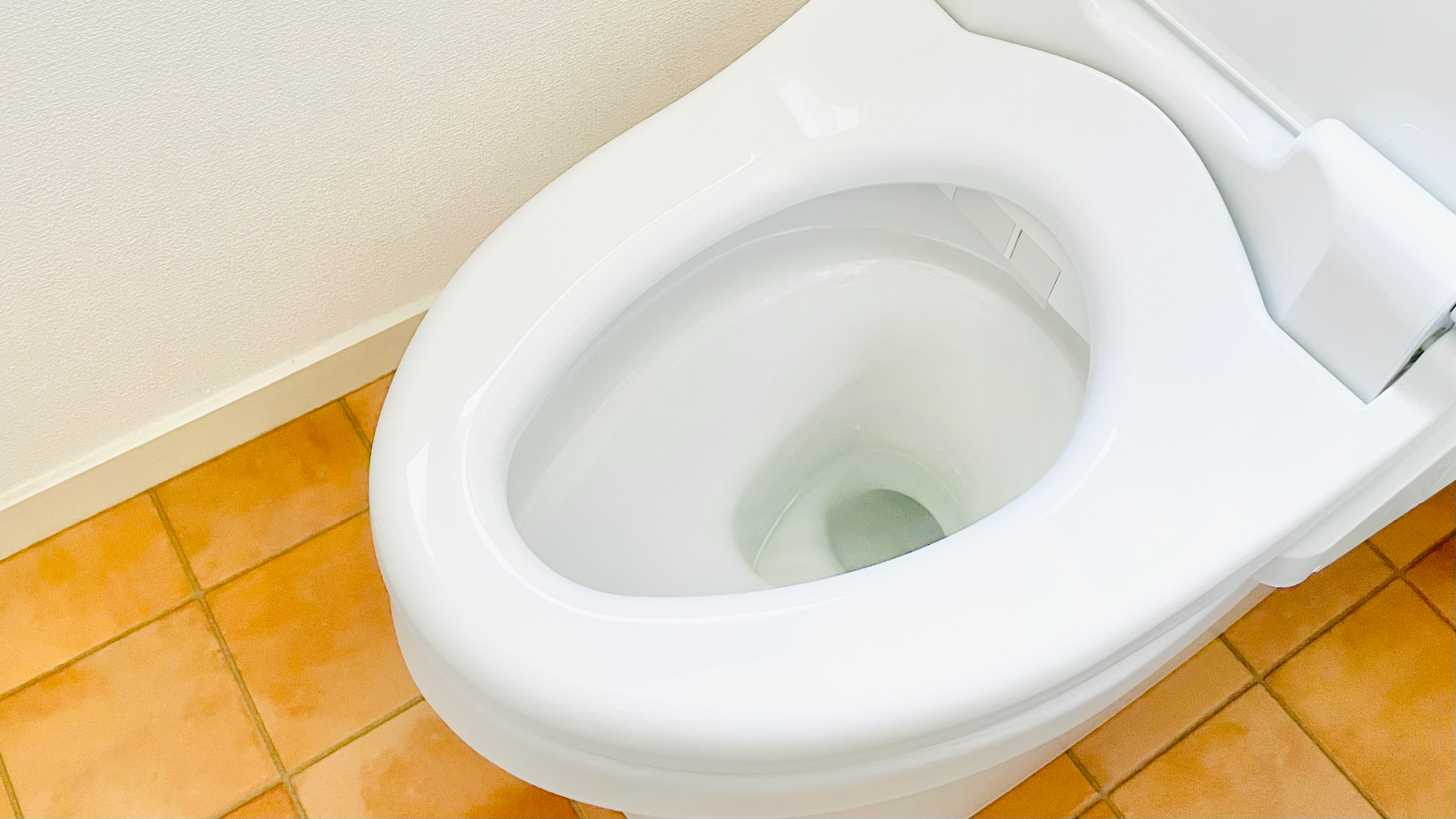 今やれば年末ラク！プロが教える「トイレ掃除」の見落としポイント5つ